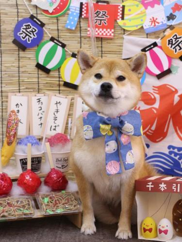 2040711はなちゃん